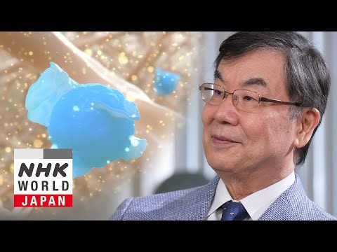 2025 Nobel Laureate SAKAGUCHI Shimon: The Boundary Between Self and Non-Self - Science View