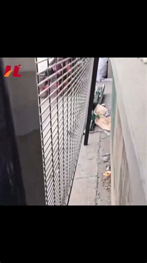 358 Safety Fence Overview: Structure and Appearance with Anti-Climb Design