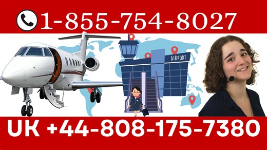 [FULL GUIDE] Turkish Airlines Customer Service: All 10 Contact Customer 24-7 Support Guide