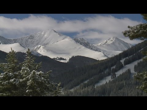 Tree rings help researchers better understand major avalanche cycle of 2019