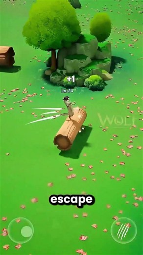 This Wolf Wants To Take Down The Smallest Ones 😱🐺