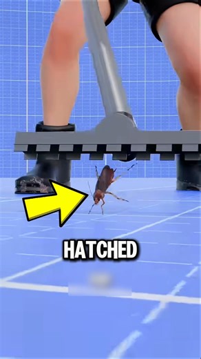 What Really Happen If You Vacuum A Roach!😱