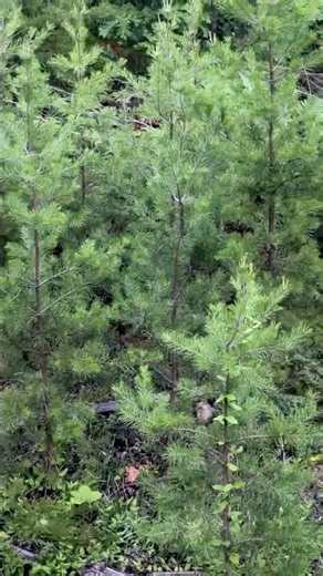 I thought it would be cool to see some wildlife I don’t normally see in Florida… then I realized it