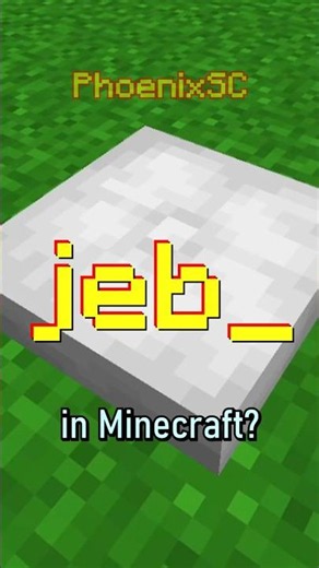 JEB CUSHION.