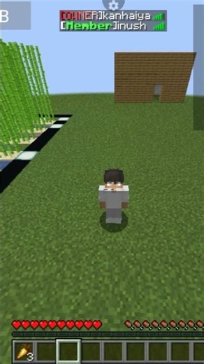 #minecraft best survival #smp join now