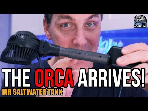 Next-Level Reef Flow: Tunze Orca Oscillating Pump Controller Review & Setup | Mr Saltwater Tank