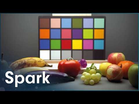 Neuroscience Proves We Don’t See The Same Colors | Horizon