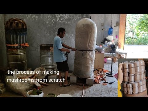 Proses pembuatan media tanam jamur kuping