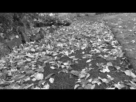 Rust PS5 Live |Starting fresh and Surviving the chaos