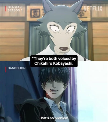 Chikahiro Kobayashi as a wolf and an angel #BEASTARS #bstanime #dandelion