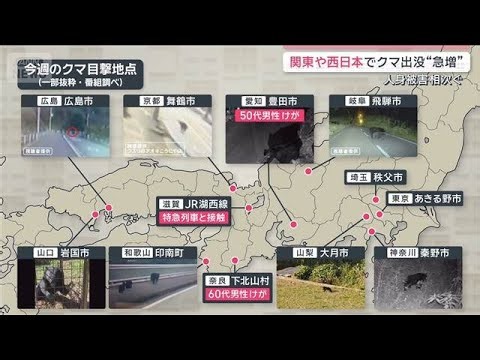 関東以西でクマ出没急増　7年ぶり人身被害の県　取材でみえた7年前との“共通点”【サタデーステーション】(2026年10月17日)