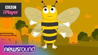 Why are BEES so IMPORTANT? | World Bee Day | Newsround | David Weston