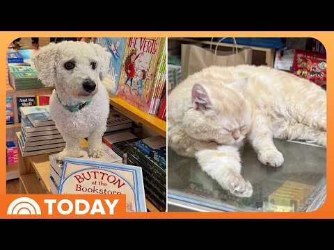 How Pets Are Helping Small Stores Attract New Customers