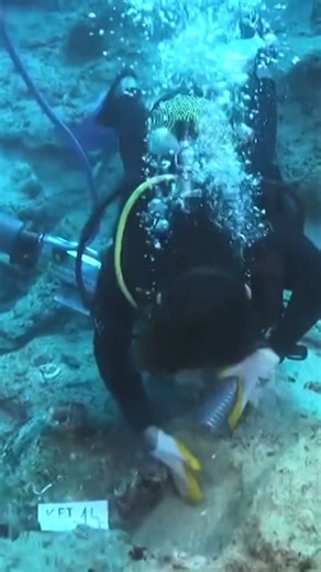 The world’s oldest shipwreck may have just been discovered