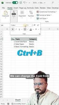 #shorts Excel Formatting for Beginners | Bold, Color, Borders | Day 3 #excel #excelforbeginners