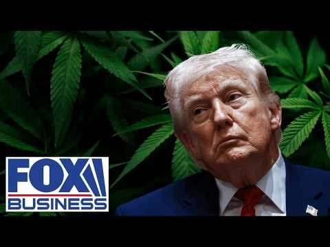 'GIANT STEP FORWARD': Reclassification of medical cannabis lauded