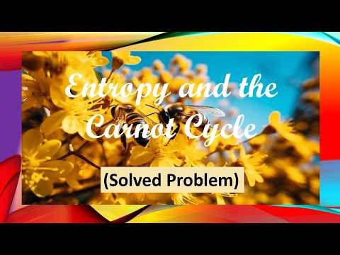 Entropy and the Carnot Cycle (Solved Problem)