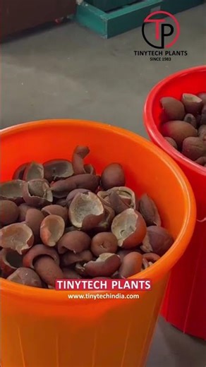 Tinytech Coconut Oil Mill Plant 🥥🥥