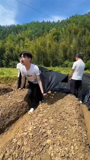 Farmer Covers Entire Field With Plastic Sheets to Stop Weeds | Amazing Mulching Farming Technique