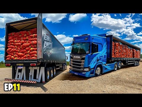 PRIMEIRA CARGA DE CEBOLA NO SCANIA NTG NOVO 😱 CARREGANDO SIDER EP11