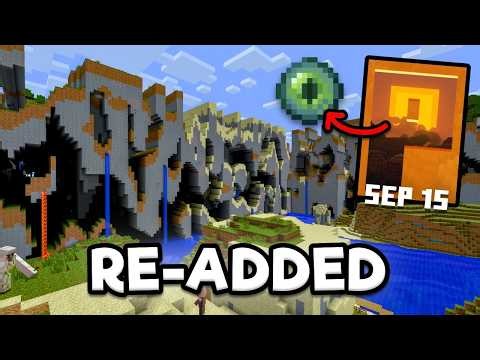 Why Did Mojang Bring THE FARLANDS Back!? (Wild Changes)