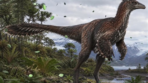 Antarctic soft-shelled egg linked to a possible prehistoric marine reptile