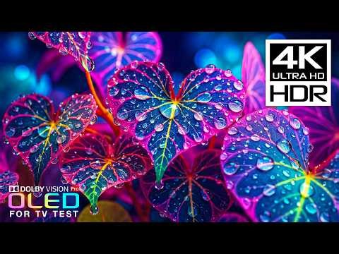 World's First 2026 OLED TEST Demo | 4K HDR 60FPS Dolby Vision (8K/4K Video TV)