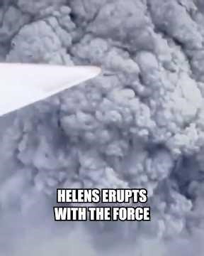 The Immortal Creature Found in a Volcano