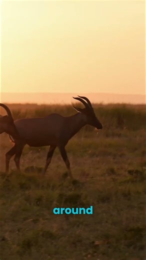 God's Word vs everything you were taught...