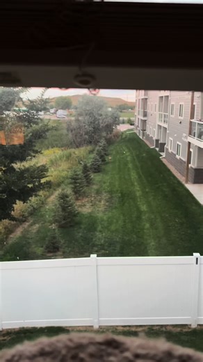 Adorable Baby Leg Kicks: Sweet Moments Captured