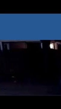 Pack of coyotes spotted roaming through White Rock neighborhood