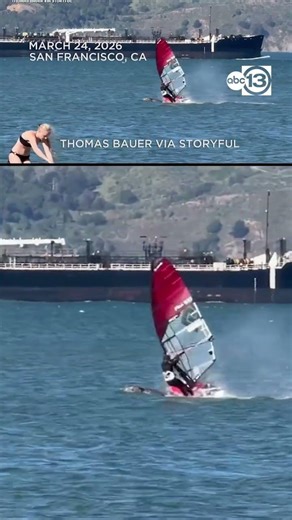 Windsurfer in California collision with whale