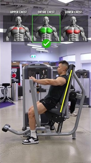 Chest Press Machine Variations