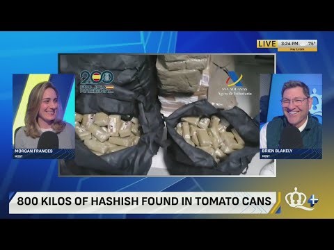 800+ kilos of hashish found in tomato cans, police say