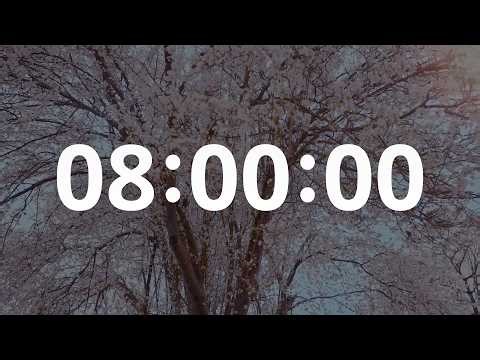 8 Hour Silent Timer – Clean Countdown | LoopTimer Lab