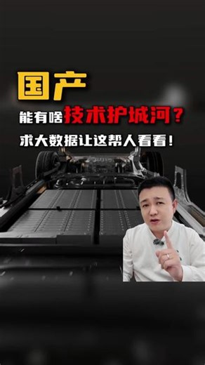 国产能有啥技术护城河？求大数据让这帮人看看！#宁德时代 #零跑汽车十周年