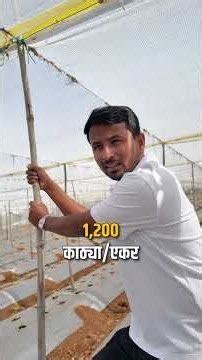 शेतीत निस्ती घाई नाय, Smart Planning महत्वाचं 🎯#shorts #indianfarmer