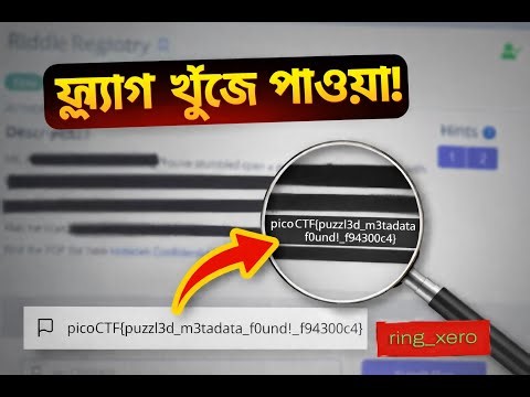 PicoCTF ২০২৫: Riddle Registry ফুল ওয়াকথ্রু | PDF Metadata l + Base64 | দিন ১