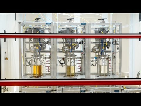 Nvidia Partners With Eli Lilly on AI Drug Laboratory