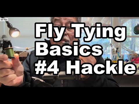 Fly Tying Basics #4 - Hackle. How to work with feathers.