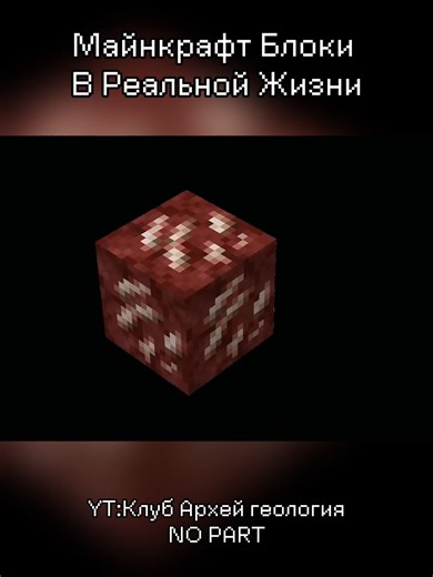 Various Minecraft fossils and blocks in real life Klub Arhey Geologiya #Minecraft #game #gaming #hardcore #mine #fyp #geology