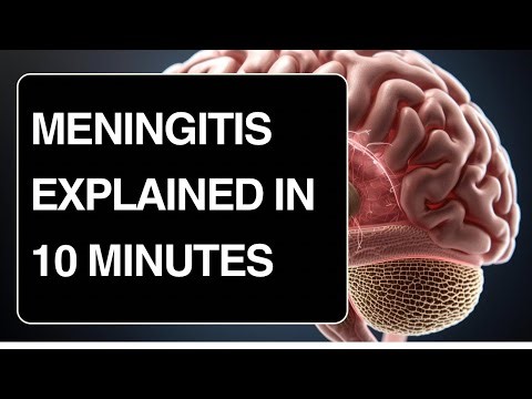 Meningitis Explained Simply: Causes, Symptoms & Nursing Care