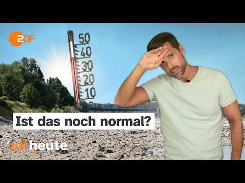 Hitze, Hagel - keine Hilfe? Ignoriert die Politik den Sommer der Extreme?