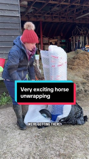 Exciting Horse Unwrapping and Thank You to Followers