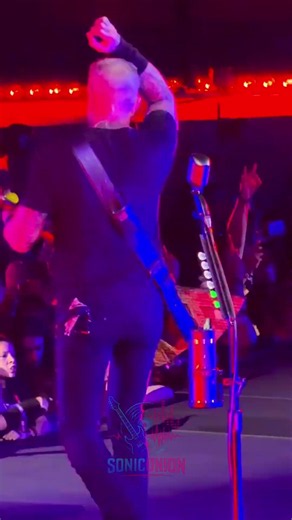 Metallica’s Most Epic Concert Ever! 🤘🔥#metálica #metalica #rock #rockstar #jameshetfield #papahet