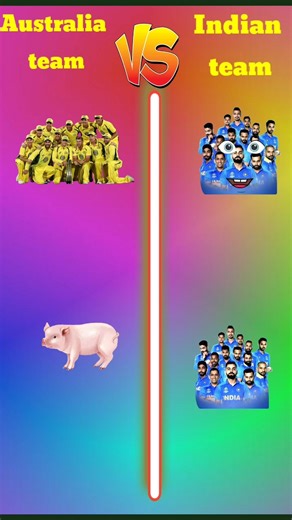 India cricket team vs Australia cricket team #cricket #ipl #shortsfeed #india #australia #shorts