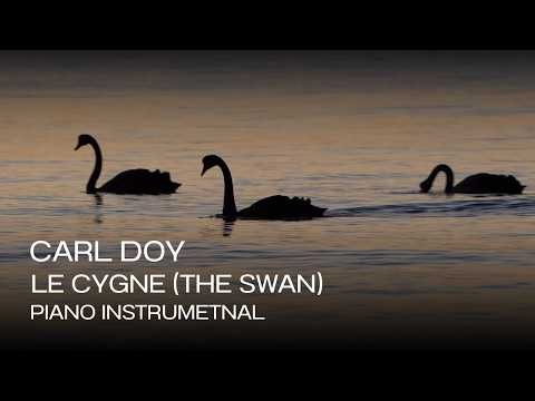 Carl Doy - Le Cygne (The Swan) | Camille Saint-Saëns