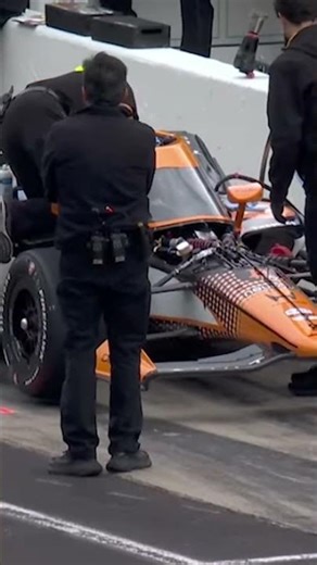 Romain Grosjean no stranger to hitting animals on the track 😳 #indycar #bird #indy500