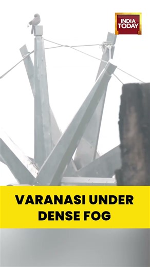 Dense Fog Envelops Varanasi; IMD Forecasts Fog or Mist in Early Morning Till 2nd January