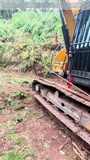 Harnessing the Track: How a Simple Rope Turns an Excavator into a Timber Winch